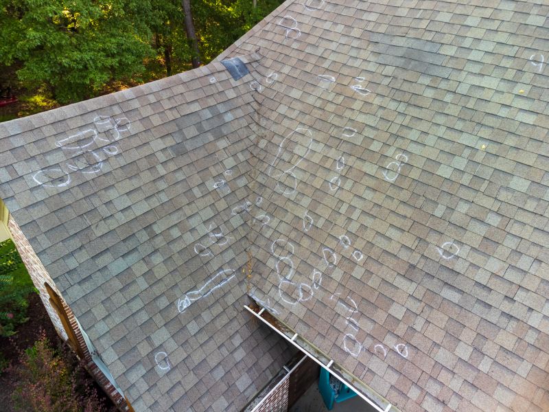 Asphalt Roof Inspection in Palmer Lake, CO