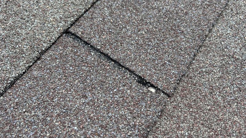 Asphalt Roof Repair in Elbert, CO