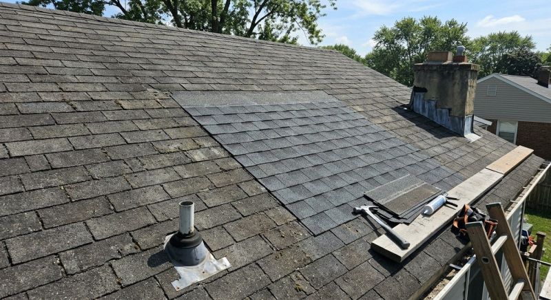Asphalt Roof Repair in Palmer Lake, CO