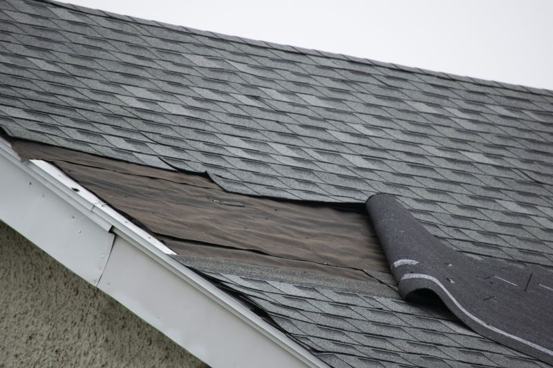Asphalt Shingles Repair in Colorado Springs, CO