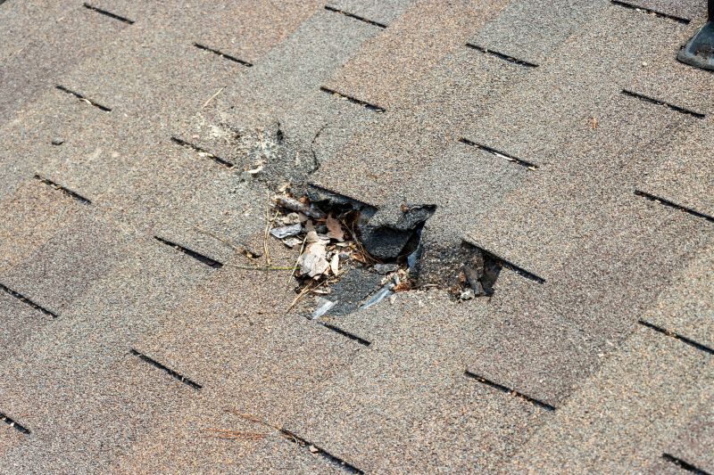 Damaged Roof Replacement in Cripple Creek, CO