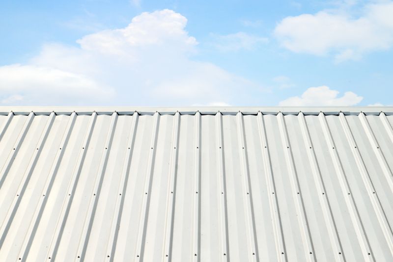 Metal Roof Coating Service in El Paso County, CO