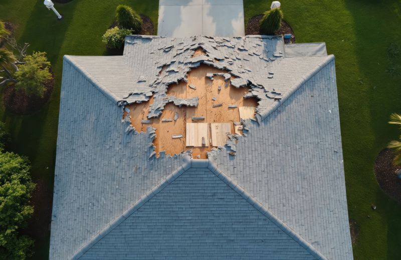 Roof Damage Repair in Cripple Creek, CO