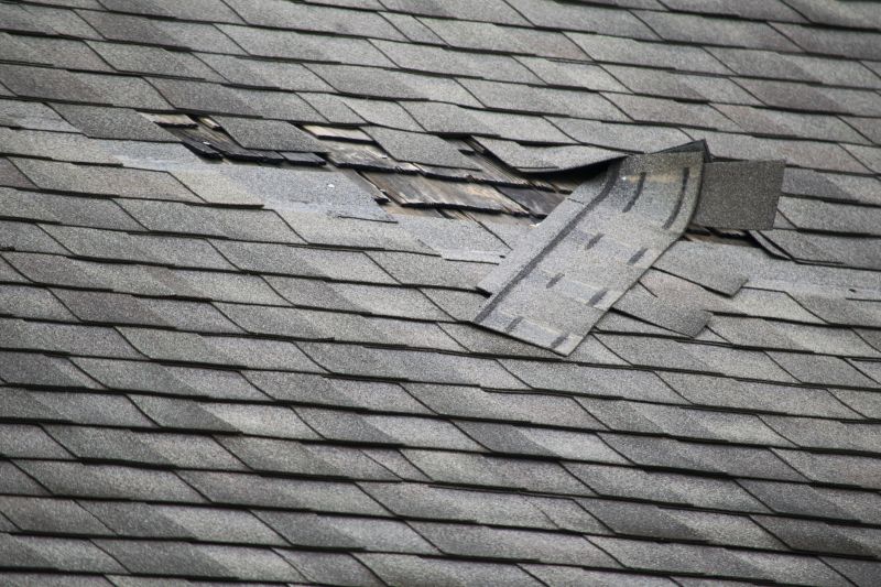 Roof Hail Damage Repair in El Paso County, CO