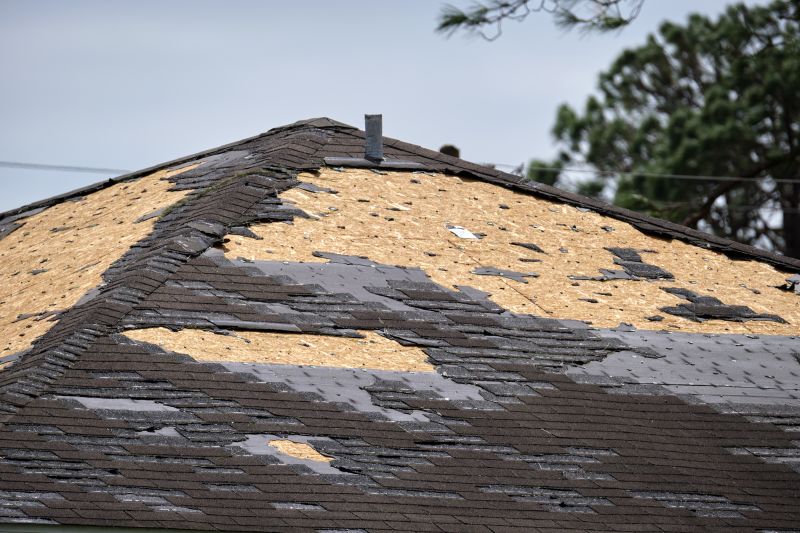 Storm Damage Roof Repair in Palmer Lake, CO