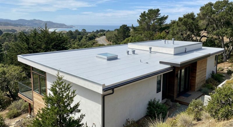 Tpo Roof Installation in Larkspur, CO