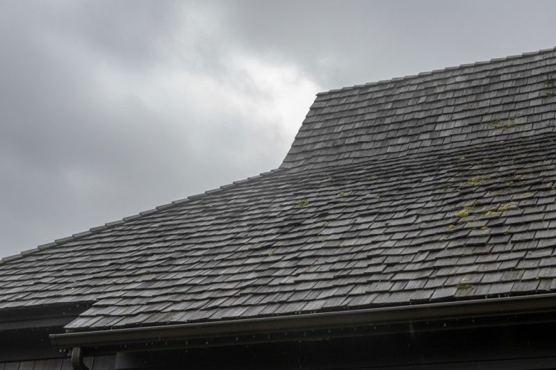 Wood Shake Roof Replacement in Teller County, CO